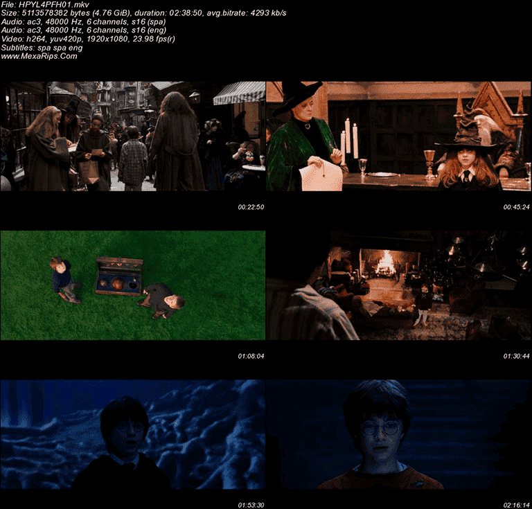 Harry Potter y la piedra filosofal 2001 CAPTURAS Harry Potter y la Piedra Filosofal (2001)