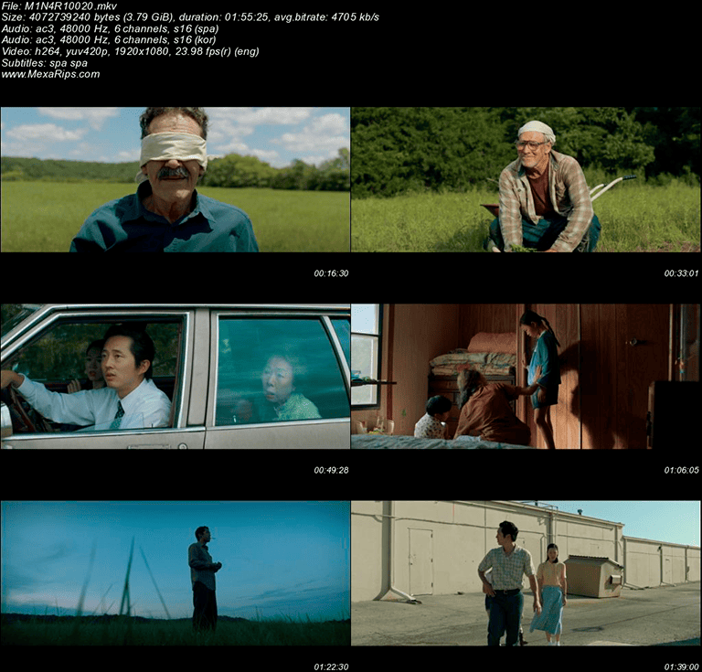 Minari - Historia de mi familia (2021) CAPTURAS Minari (2020)