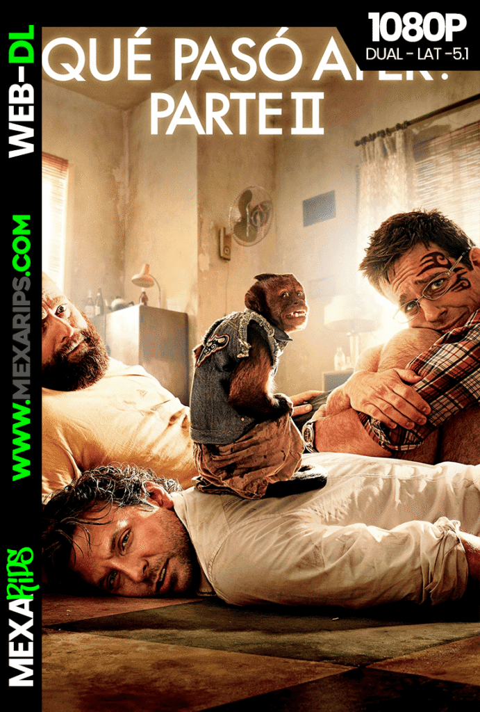 ¿Qué pasó ayer? Parte 2 (2011)