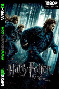 En Harry Potter y las Reliquias de la Muerte (2010)